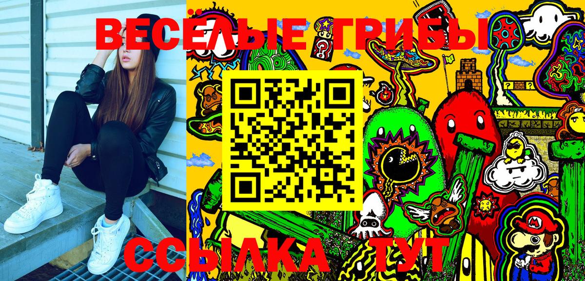 Псилоцибиновые грибы Psilocybe Наро-Фоминск